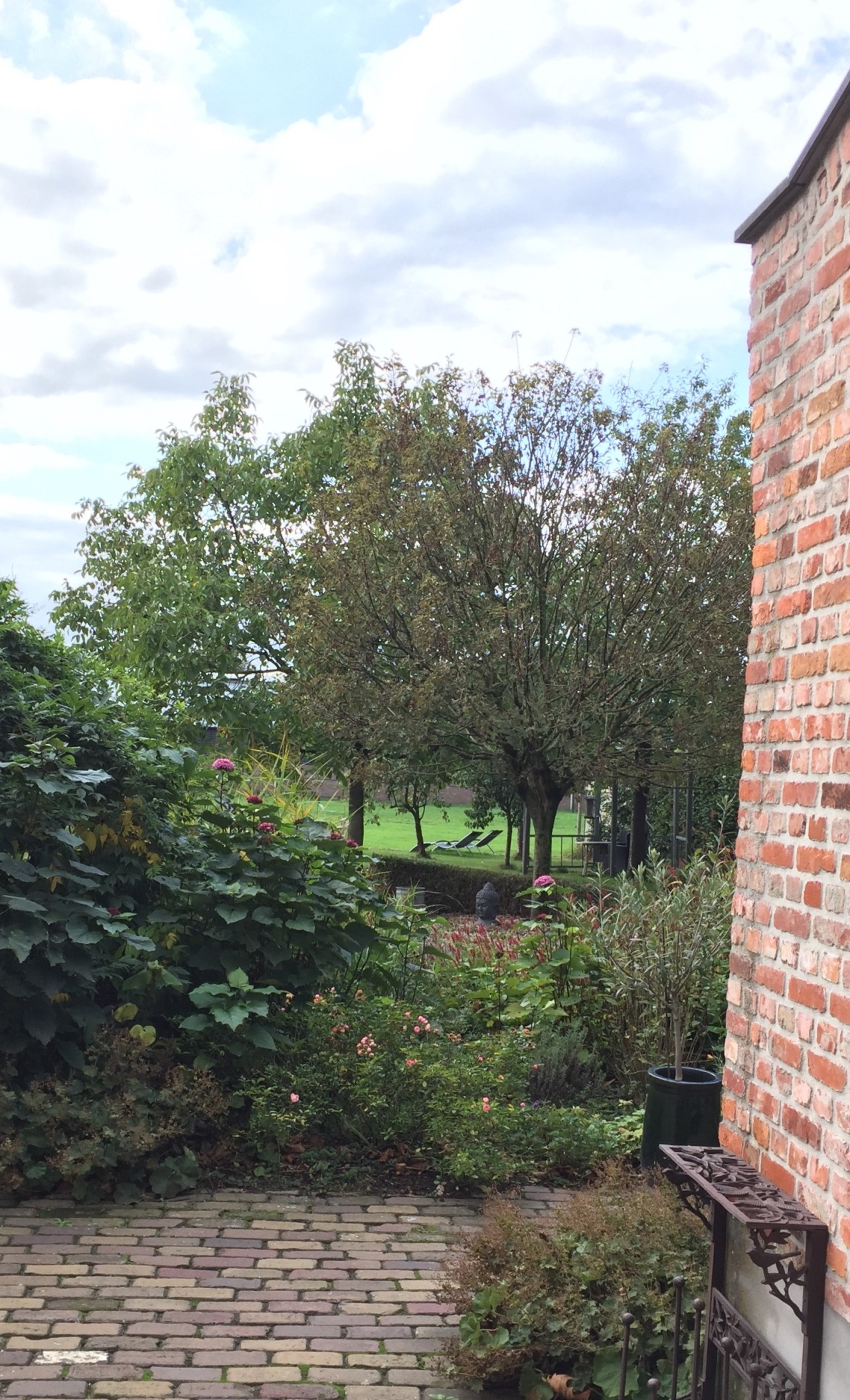 Tuin